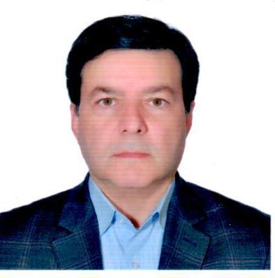 دکتر محمدتقی تقوی فرد پژوهشگر برگزیده کشور