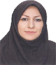 پروانه ملااحمدی