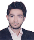سعید اصغرزاده